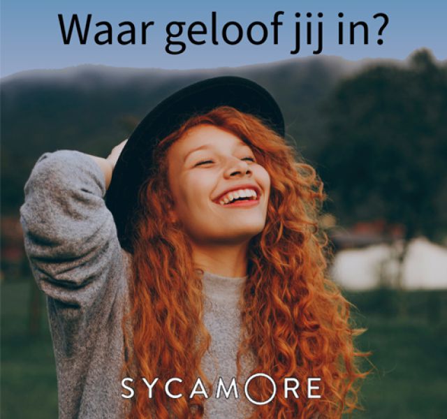 Sycamore